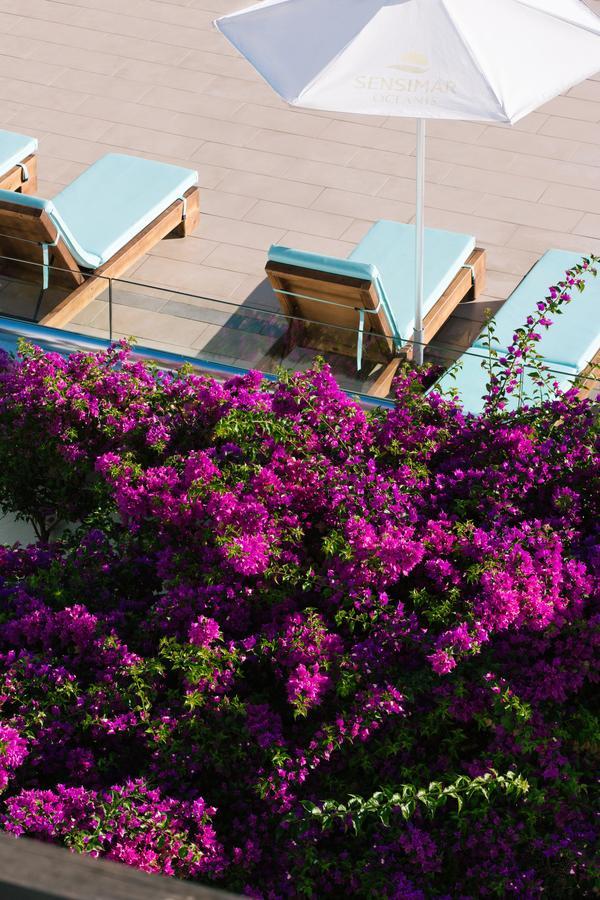 Oceanis Beach & Spa Resort Psalidi  Luaran gambar